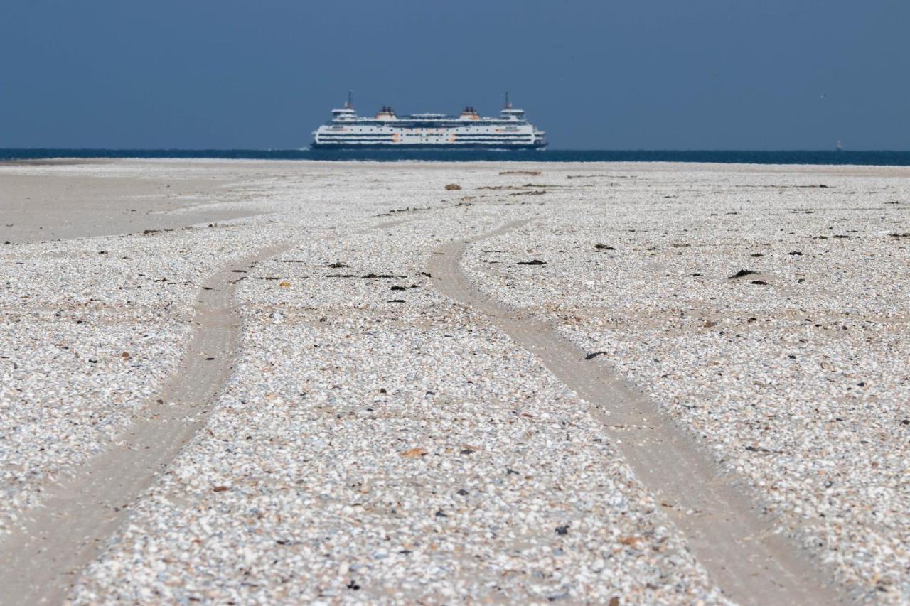 Bed En Bike Strunen Op Texel Den Burg Bagian luar foto